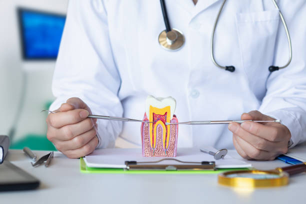 Best Weekend Emergency Dentist in South Browning, MT